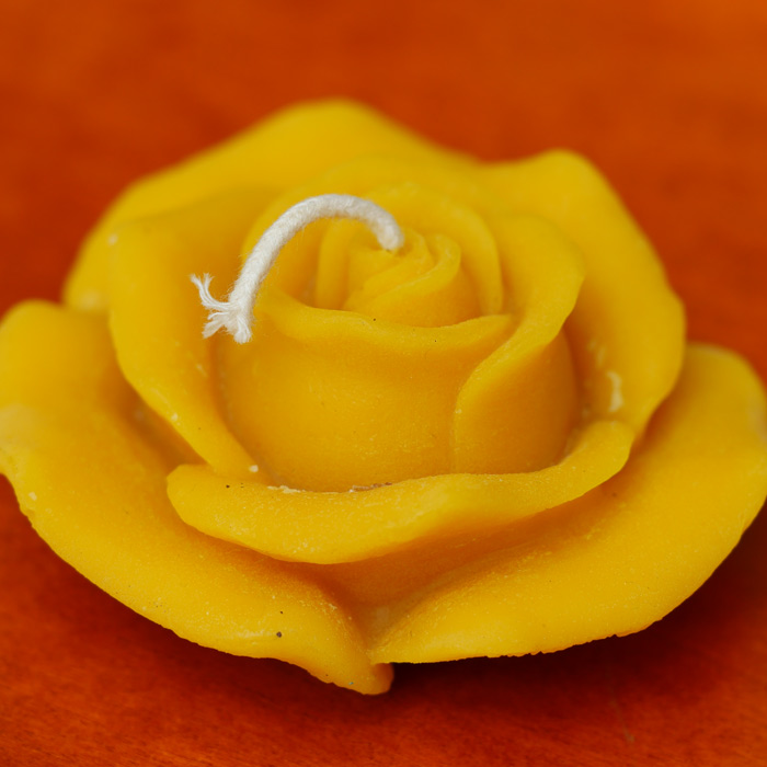 Infos über Bienenwachs